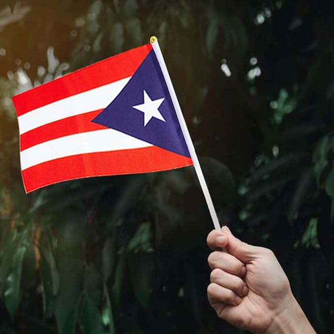 Puerto Rico Flag Puerto Rican Flag, Small Mini Handheld Puerto Rico Flags on - Image 6