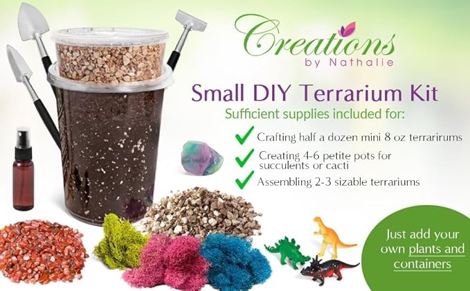 – Premium Small DIY Terrarium Kit - Image 7