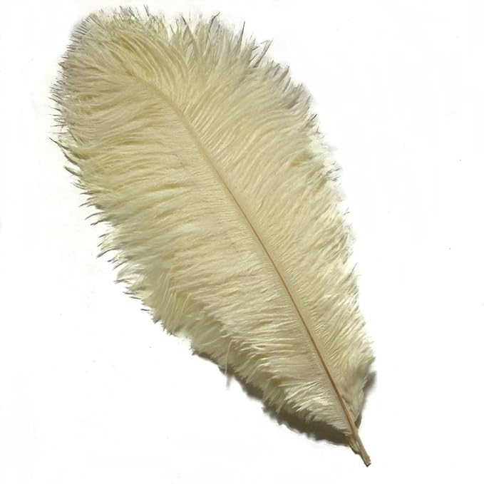 KOLIGHT 40pcs 12''~14'' Natural Ostrich Feathers - Image 2