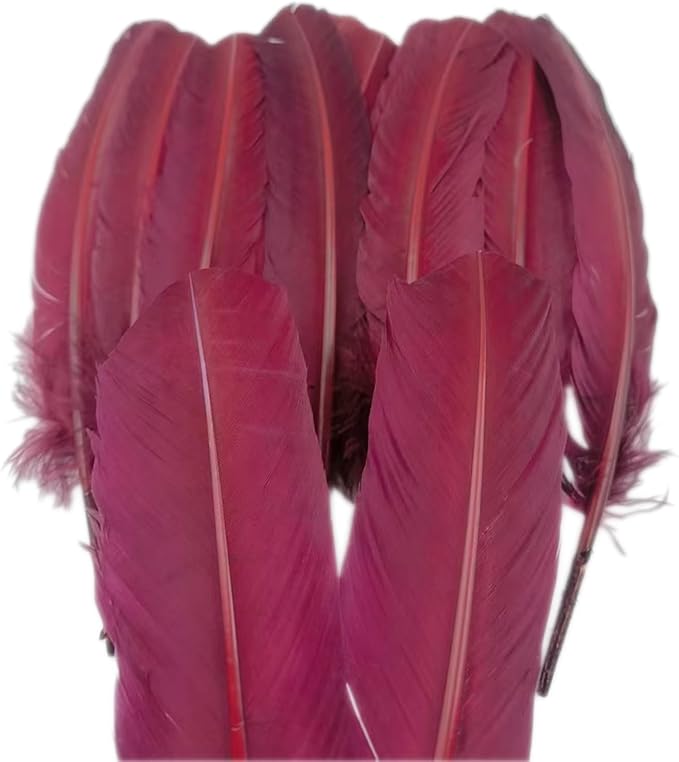 Burgundy Turkey Feathers, Turkish Feather - Image 6