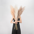 EVODIS Pampas Grass Decor Tall by EVODIS