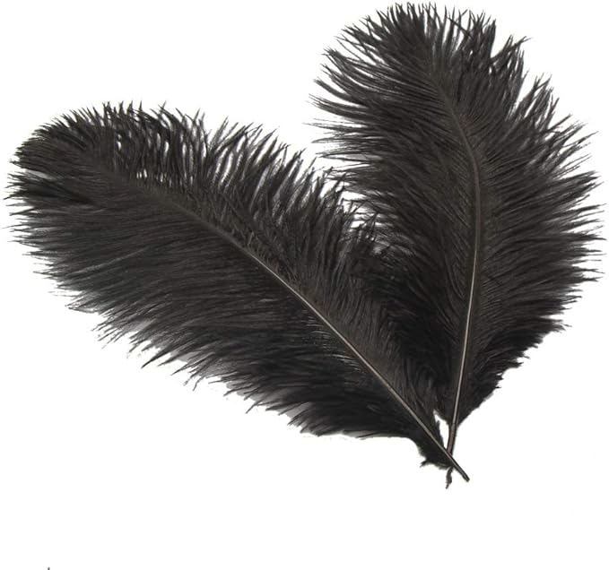 Sowder 8-10inch Ostrich Feathers Plume by Sowder