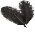 Sowder 6-8inch Ostrich Feathers Plume by Sowder