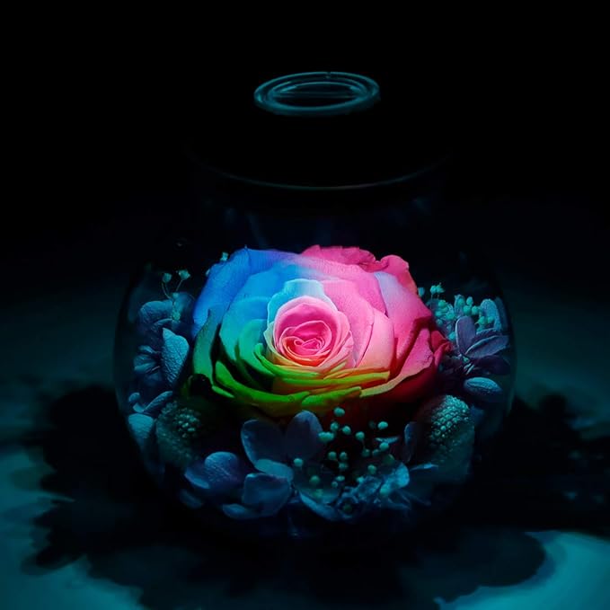 Preserved Real Roses with Colorful Mood Light Wishing Bottle, Eternal - Image 6