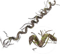 180cm/70.86in Bendable Artificial Tree Branches Liana Vines Garland Rattan by CONGZHANHH
