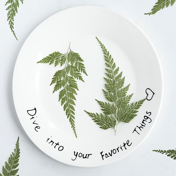 48 Pcs Dried Pressed Flowers Leaves Ferns - Image 3