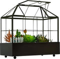Large Tall Plant Terrarium Glass Greenhouse by Yimorence
