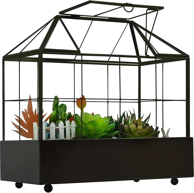 Large Tall Plant Terrarium Glass Greenhouse by Yimorence