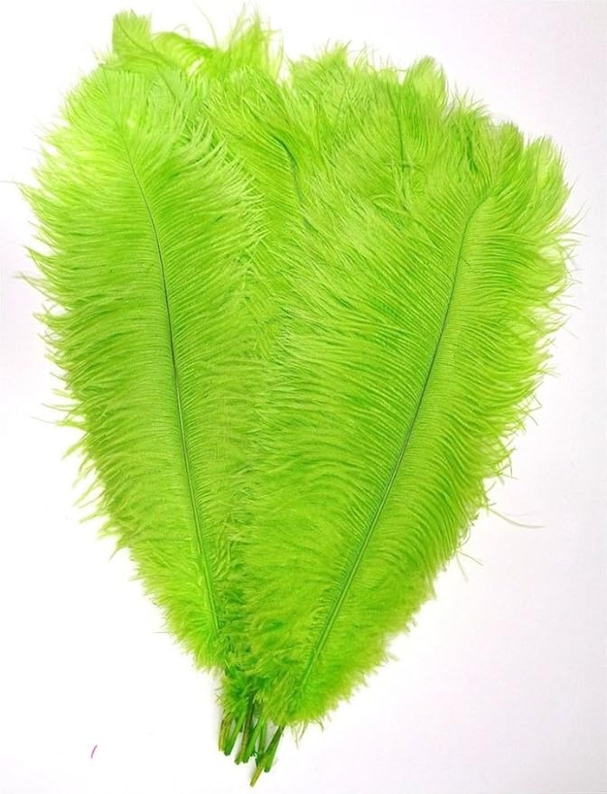KOLIGHT 40pcs 12''~14'' Natural Ostrich Feathers - Image 2