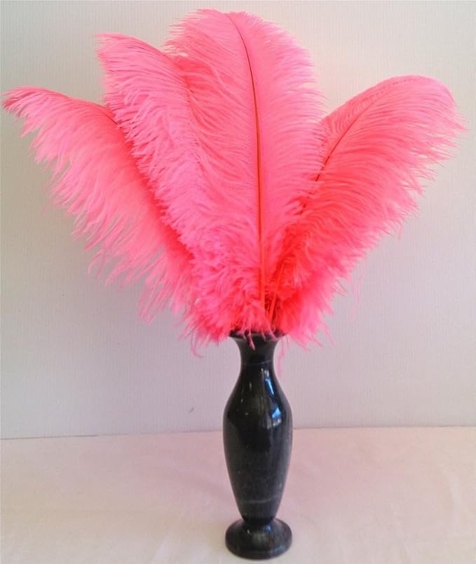 KOLIGHT 40pcs 12''~14'' Natural Ostrich Feathers - Image 3