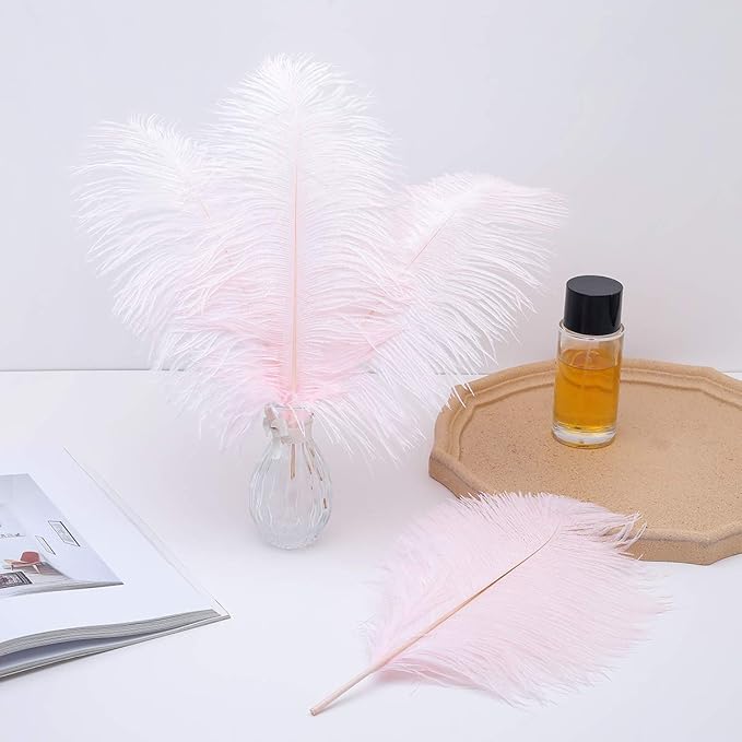 24pcs Natural Light Pink Ostrich Feathers 10-12inch - Image 6