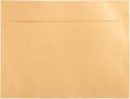 JAM PAPER 9 x 12 Open End Catalog Metallic Envelopes by JAMPaper