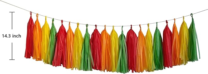 ZOOYOO Fiesta Tassel Garland Tissue Paper Tassel Banner, Table Decor, DIY Kits - Image 2