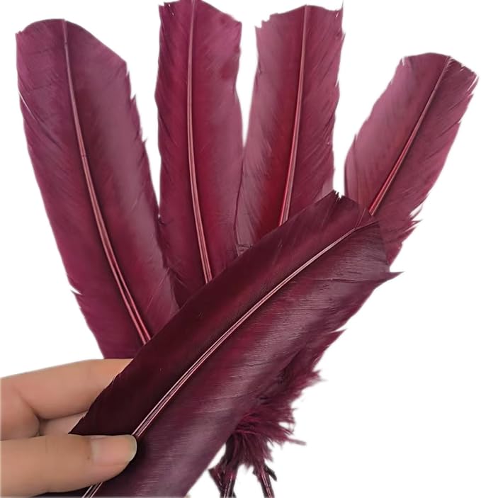 Burgundy Turkey Feathers, Turkish Feather - Image 5