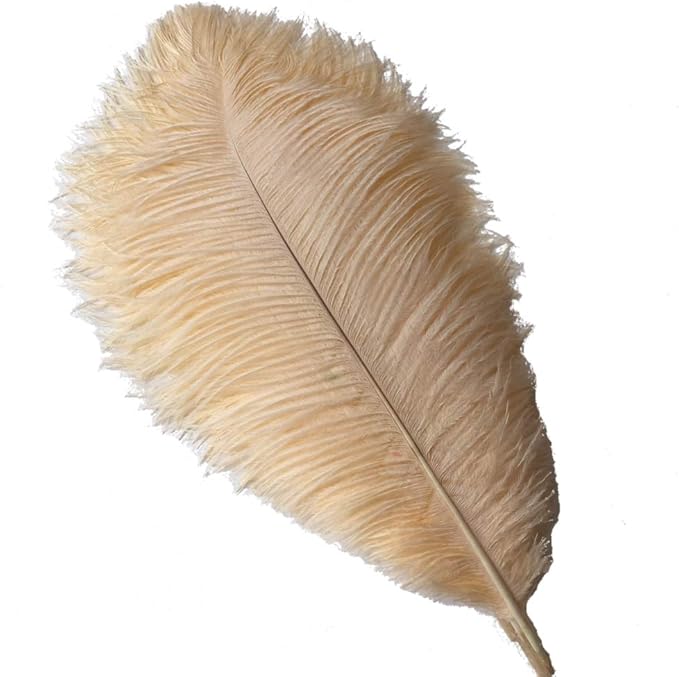 Sowder 10-12inch Ostrich Feathers Plume by Sowder