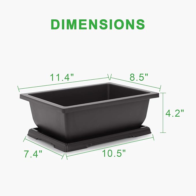 GROWNEER Bonsai Pots 3 Packs 11 Inch Bonsai Tree Training Pot - Image 2