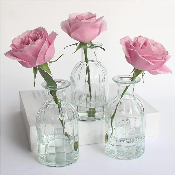 3 Sets Clear Glass Vase for Flowers Small Bud Vase for Decor, Bud Vases in Bulk by HANIHUA