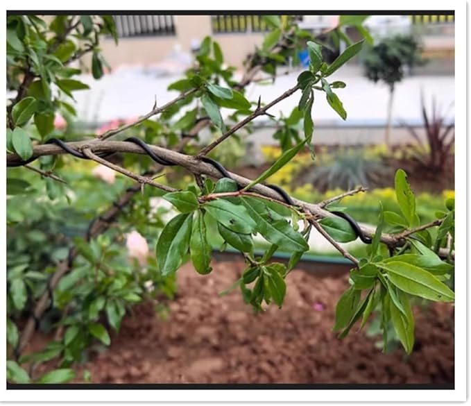 656ft Twist Ties, Garden Plant Ties - Image 9