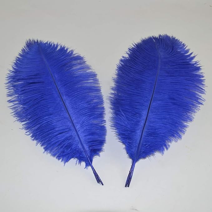 Sowder 16-18inch Ostrich Feathers Plume - Image 2