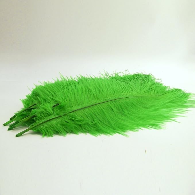 KOLIGHT® 40pcs 12''~14'' Natural Ostrich Feathers - Image 2