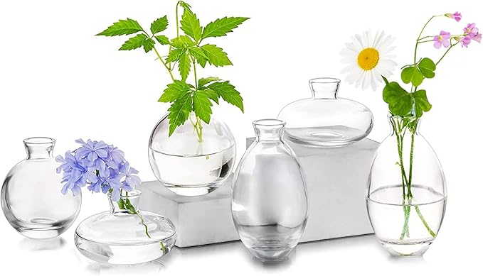 Glass Bud Vases Set of 6, Hewory Cute Clear Small Vases Handmade, Mini Glass by Hewory
