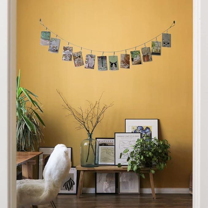 TFu Wall Hanging Photo Display, DIY Picture Photo Frame String - Image 4