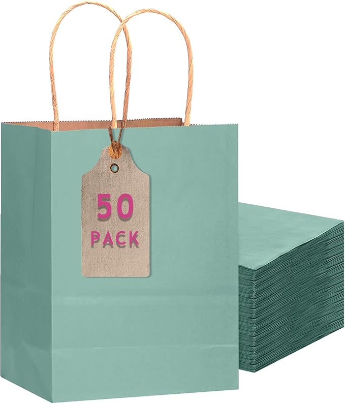 qiqee 50-Packs Kraft Light Blue Paper Gift Bags by Qiqee