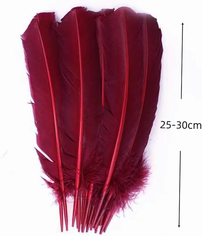 Burgundy Turkey Feathers, Turkish Feather - Image 2
