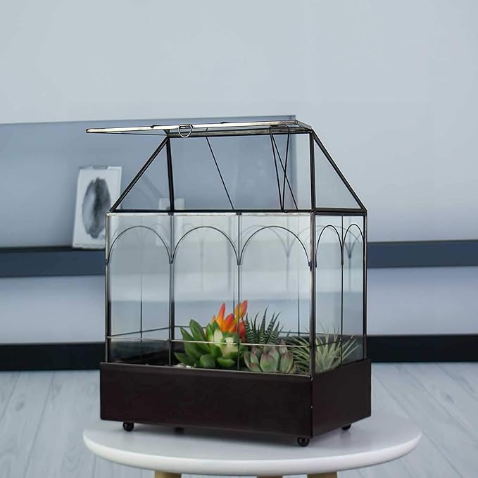 Large Tall Glass Plant Terrarium – House Succulent Terrarium Kit - Image 8
