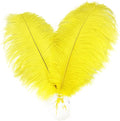 Happy Feather 16-18 inch Yellow Ostrich Feathers Craft by SupplyHighQualityFeathers