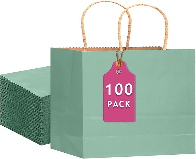 qiqee 100PCS Large Gift Bag by Qiqee