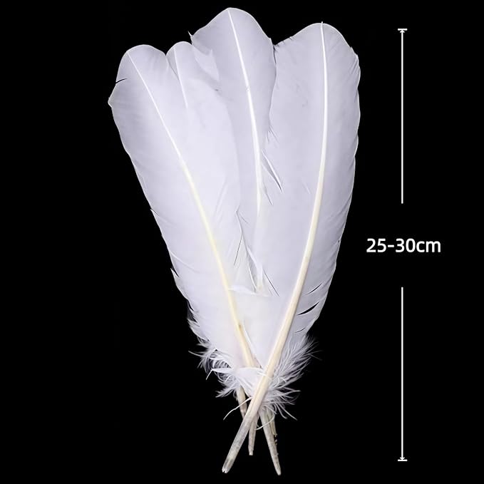 White Turkey Feathers, Turkish Feather - Image 2