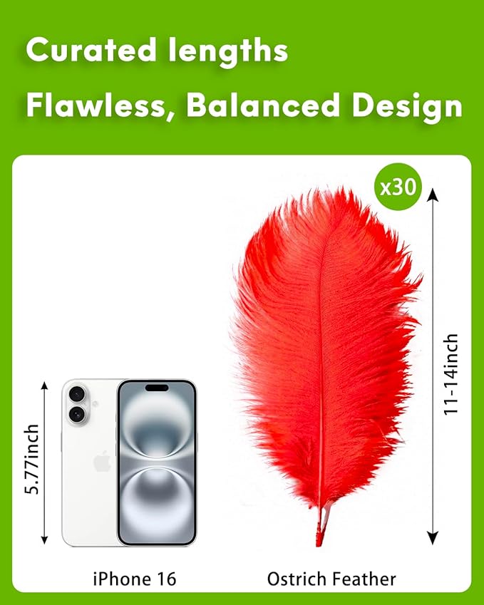 NEWONG 30pcs Red Ostrich Feathers Natural Bulk 11-14inch Vase Craft Wedding - Image 2