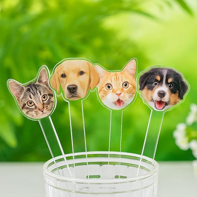 Personalized 50 Pcs Double-Sided Wedding Pet Stir Sticks, Custom Dog Cat Stir by GiantBigHands