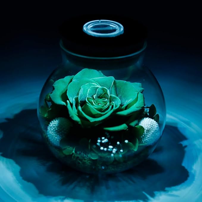 Preserved Real Roses with Colorful Mood Light Wishing Bottle, Eternal - Image 4