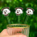 Custom 50 Pcs Double-Sided Wedding Pet Stir Sticks, Personalized Dog Cat Stir by FamiTrendz