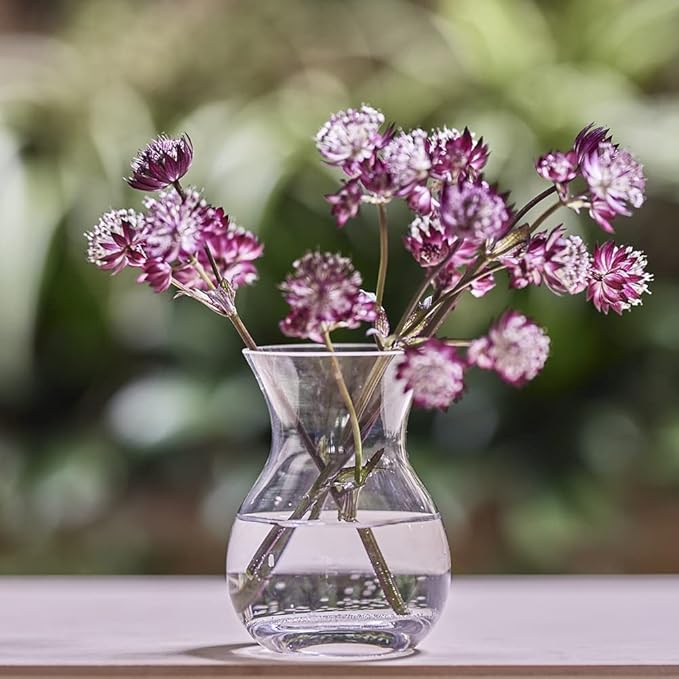 CHIVE ‘George’ Glass Bottle Flower Vases — Set of 6 — Small, Elegant Clear - Image 5