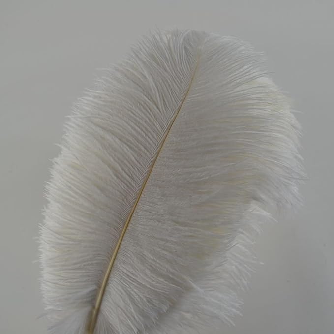 KOLIGHT 40pcs 12''~14'' Natural Ostrich Feathers - Image 2