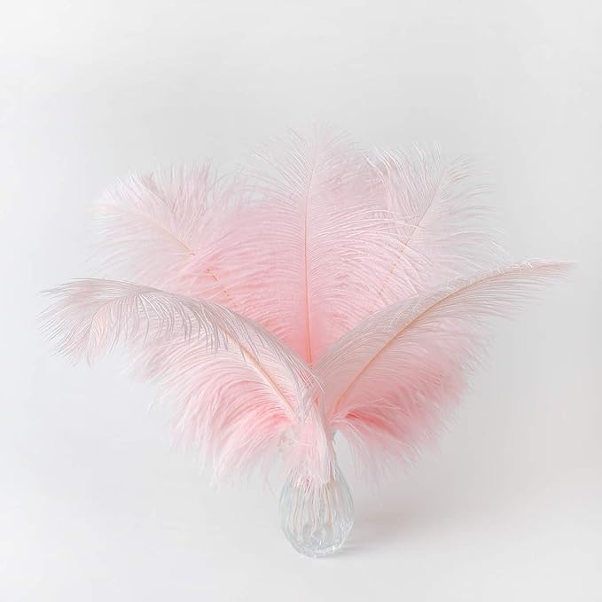 24pcs Natural Light Pink Ostrich Feathers 10-12inch by Ballinger