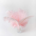 24pcs Natural Light Pink Ostrich Feathers 10-12inch by Ballinger