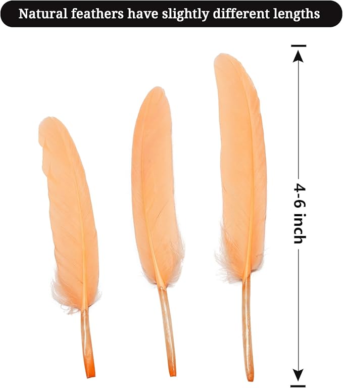 FeelfunFeather 120pcs Champagne Goose Cochettes Feather Natural Bulk 4-6 inch - Image 2