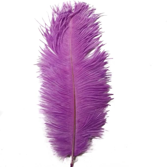 KOLIGHT 40pcs 12''~14'' Natural Ostrich Feathers - Image 2