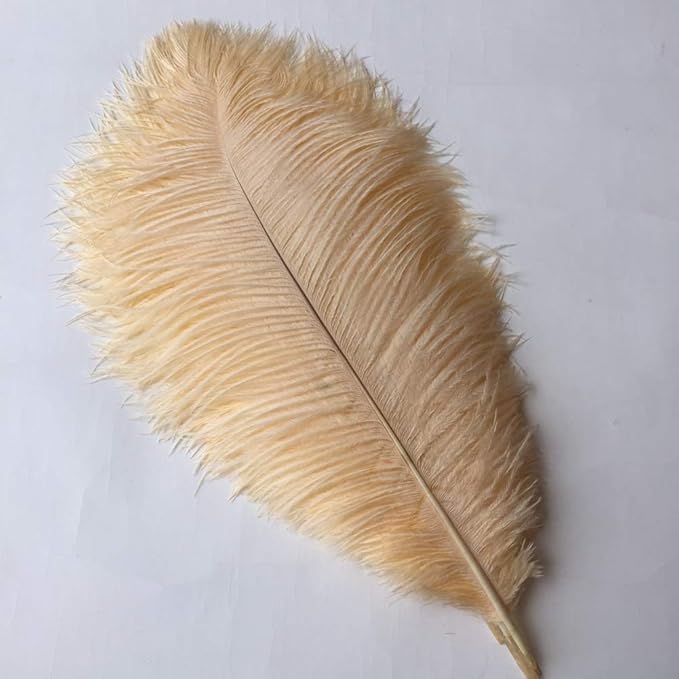 Sowder 14-16inch Ostrich Feathers Plume - Image 2