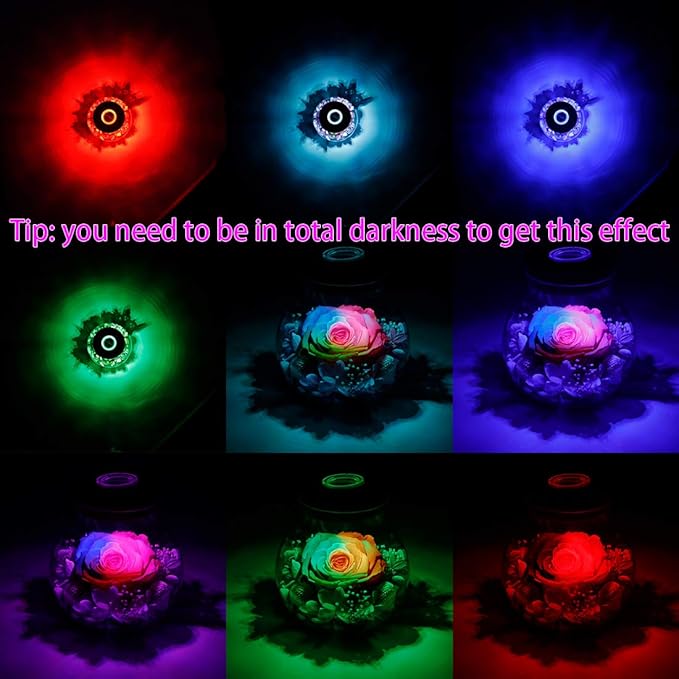 Preserved Real Roses with Colorful Mood Light Wishing Bottle, Eternal - Image 5