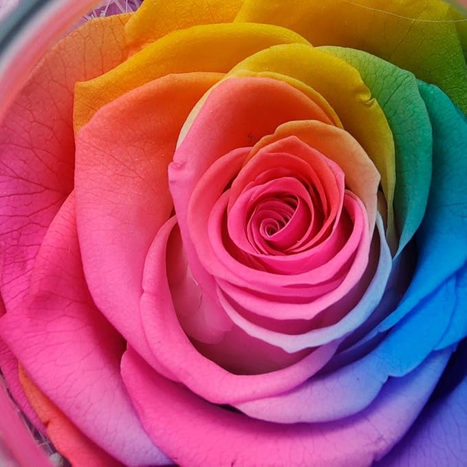 Preserved Real Roses with Colorful Mood Light Wishing Bottle, Eternal - Image 7
