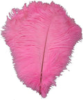 KOLIGHT® 40pcs 12''~14'' Natural Ostrich Feathers by KOLIGHT