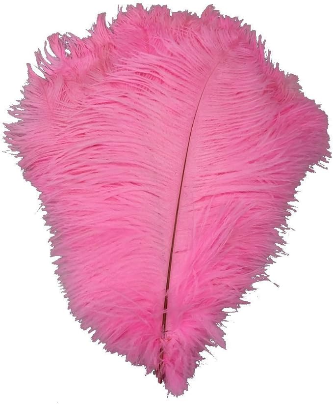 KOLIGHT® 40pcs 12''~14'' Natural Ostrich Feathers by KOLIGHT