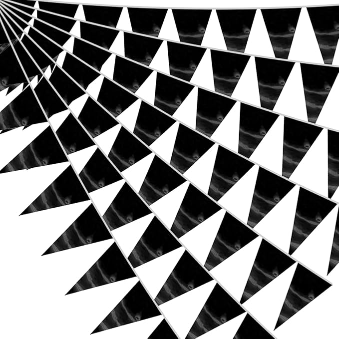 40M/130FT Black Triangle Pennant Banner Flag Metallic Fabric Bunting Garland by raqieden