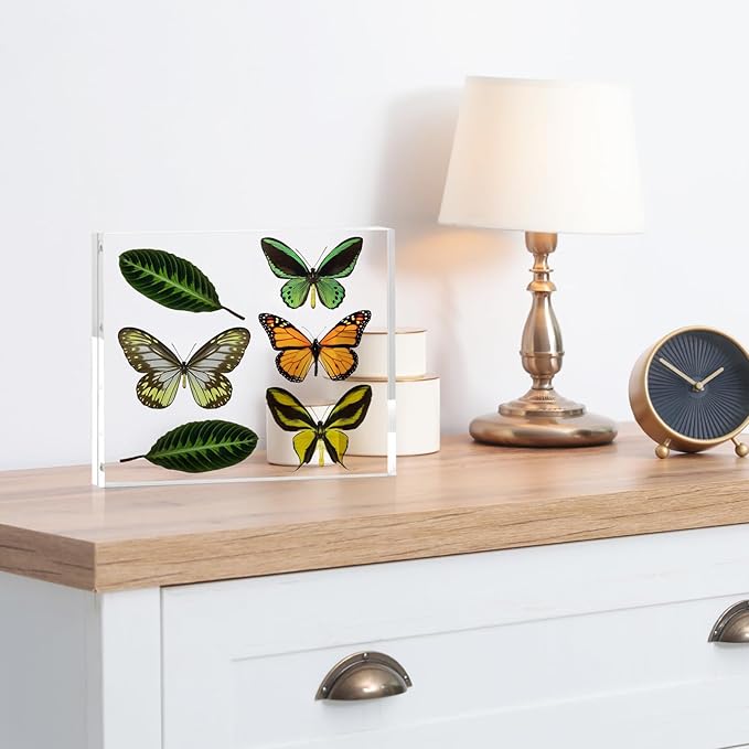 TWING 6 Pack 8 x 10 Acrylic Picture Frames, Magnetic Lucite Clear Picture Frame - Image 7