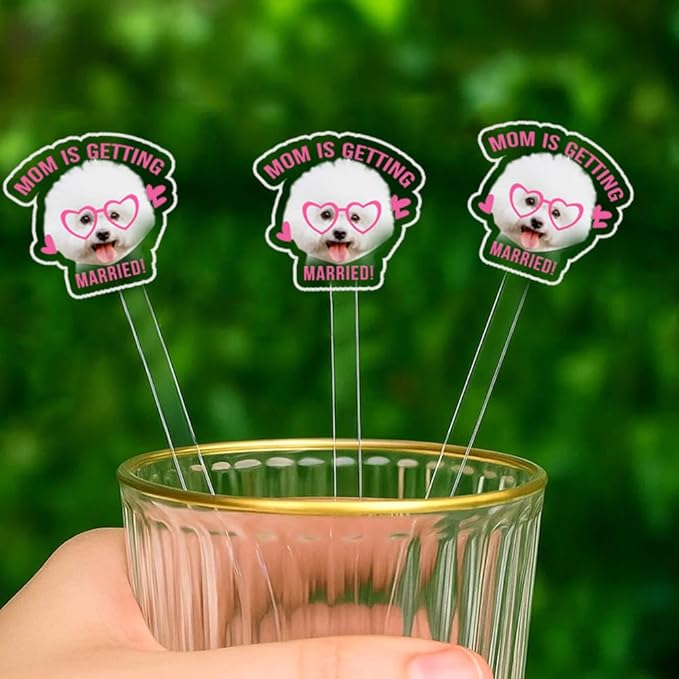 Custom 50 Pcs Double-Sided Wedding Pet Stir Sticks, Personalized Dog Cat Stir by FamiTrendz